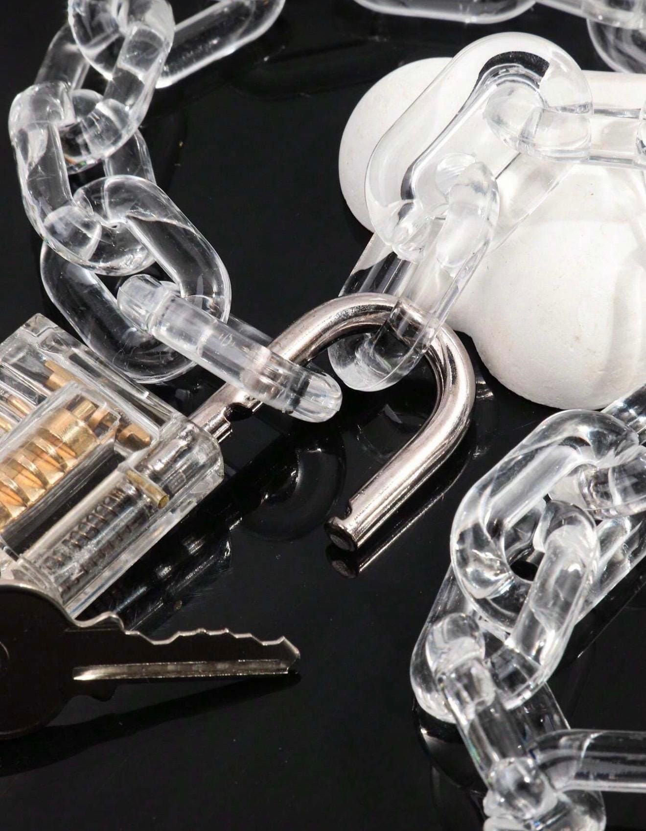 18.5 inch Crystal Bound Lock Necklace